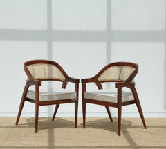 Logist Wooden Dining Chair in Sheesham Wood & Cane - Honey Finish , Single Piece Arina Living