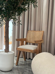 Max Mango Wood Dining Chair with Cane Back & Cushioned Seat β Natural Finish , Single Piece Arina Living