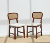 Vandor Sheesham Wood Dining Chair with Cane Back & Cushioned Seat (Honey Finish , One Pcs)