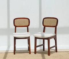 Vandor Sheesham Wood Dining Chair with Cane Back & Cushioned Seat - Honey Finish , Single Piece Arina Living
